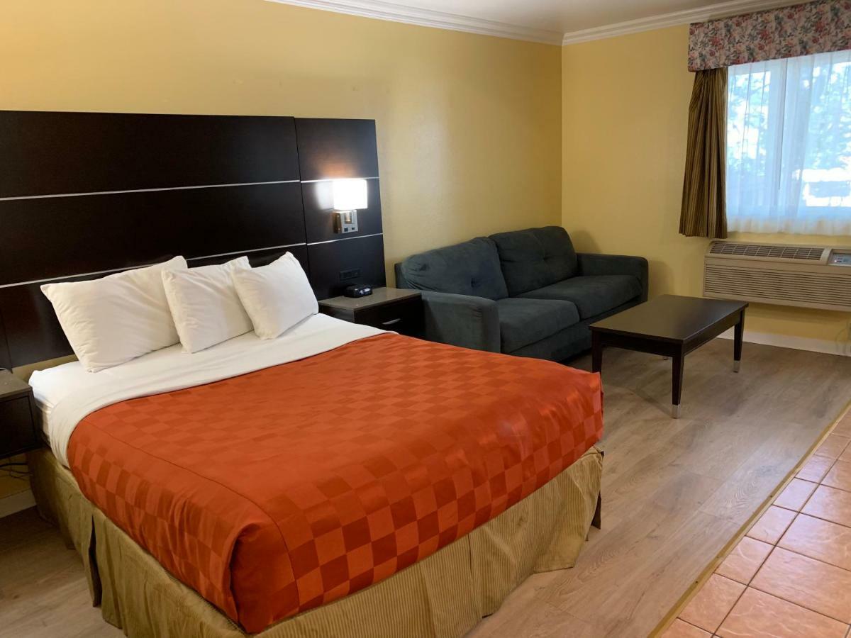 סן לואיס אוביספו Olive Tree Inn & Suites מראה חיצוני תמונה